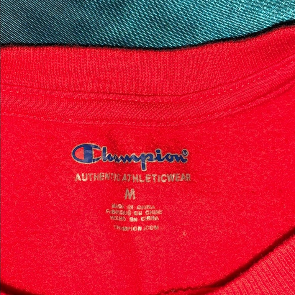 EUC Champion crew neck hoodie - Picture 3 of 3